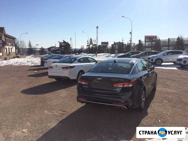Аренда авто с выкупом Kia Sportage и Kia Rio Иркутск - изображение 1