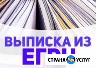 Выписка из егрн (егрп) Челябинск - изображение 1
