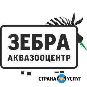 Обслуживание Установка Изготовление Аквариумов Новосибирск