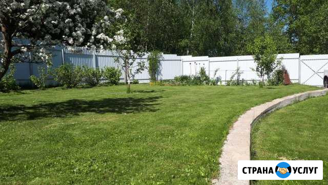 Покос травы Волоколамск - изображение 1