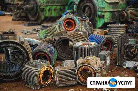 Электродвигатель Нелеквиды Саратов