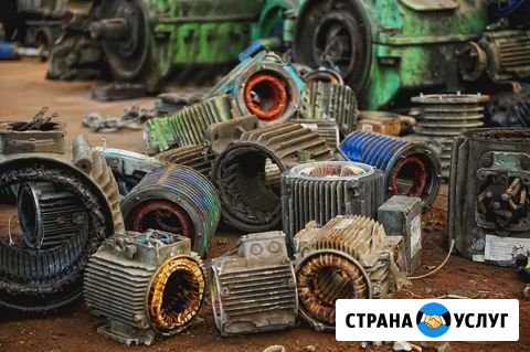 Электродвигатель Нелеквиды Саратов - изображение 1