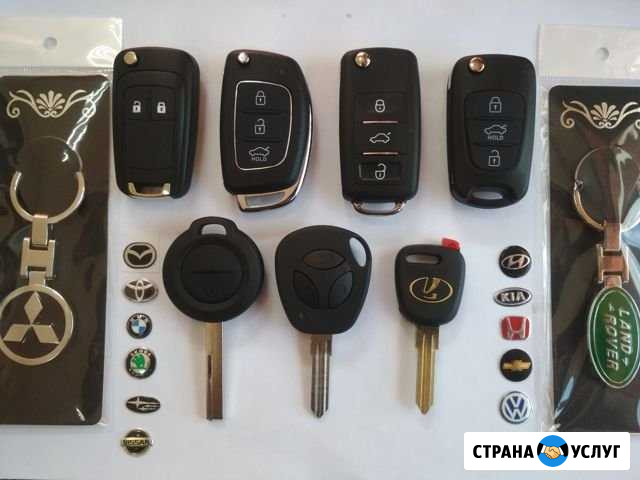 Автомобильные ключи, чипы для автозапуска Клин - изображение 1