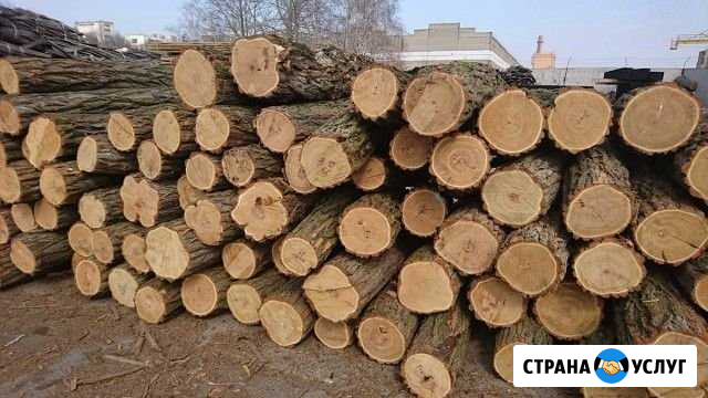 Продам дрова Симферополь - изображение 1