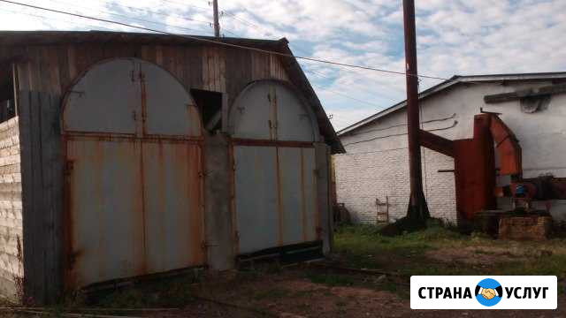 Услуги сушильной камеры Тара - изображение 1