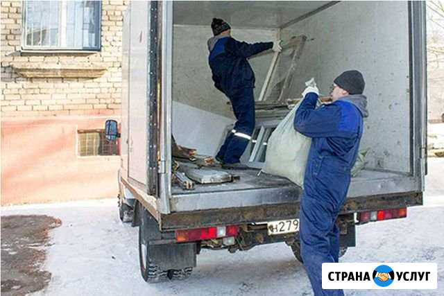 Вывоз мусора Мурино - изображение 1