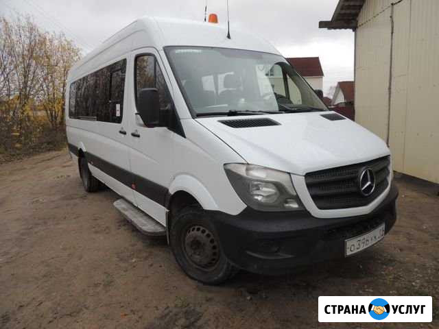 Автобус под заказ Сыктывкар - изображение 1