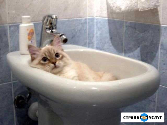 Сантехника: Шахты - изображение 1