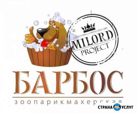 Груминг, стрижка собак, стрижка кошек, тримминг Санкт-Петербург