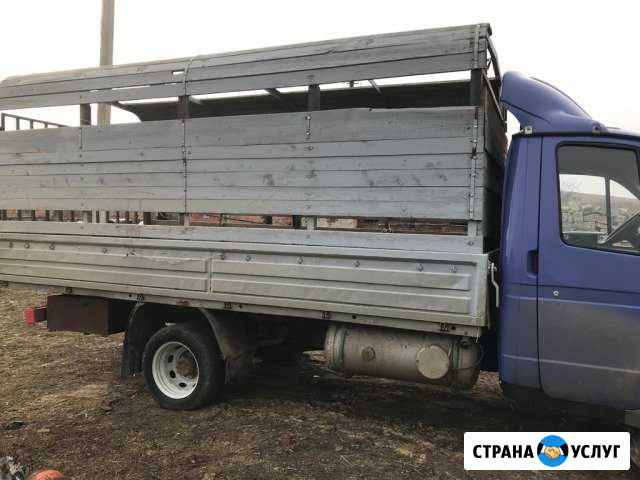 Перевозка Скота,Овец,Лошадей Газель 4.20 метров Александровское - изображение 1
