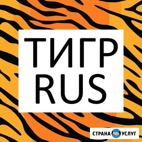 Вывоз строительного мусора Белгород - изображение 1