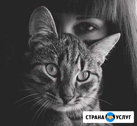 Передержка домашних любимцев Краснодар. зоотель Краснодар - изображение 1
