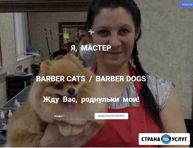 Мурка. Груминг. Стрижка собак. Стрижка кошек Новосибирск - изображение 1