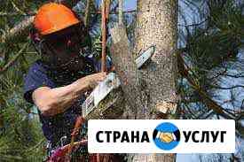 Спил деревьев Пятигорск