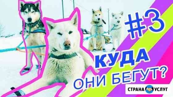 Заставки для Youtube каналов, видео-поздравления Москва