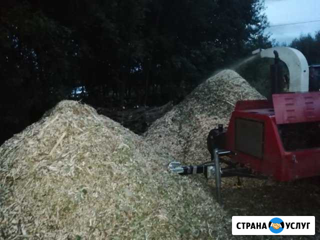 Аренда дробилки Одинцово. Удаление деревьев Одинцово - изображение 1