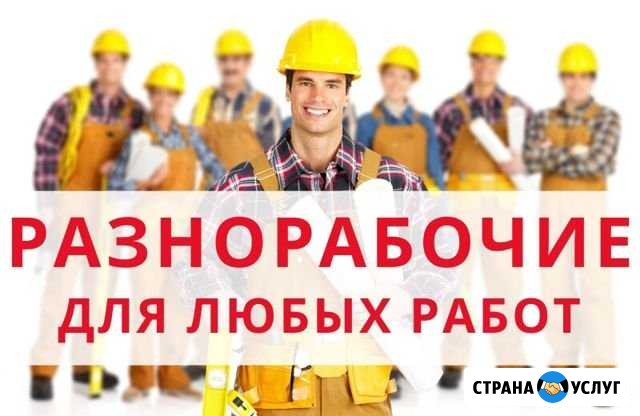 Профф-демонтаж вывоз мусора Дзержинск - изображение 1