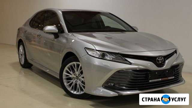 Аренда Авто с водителем Новосибирск - изображение 1