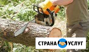 Спил деревьев Ессентуки - изображение 1