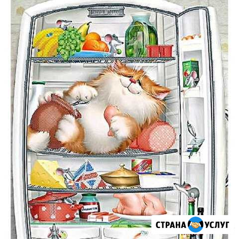 Ремонт Холодильников Архангельск - изображение 1