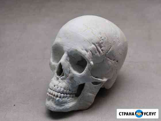 3d печать Дмитров
