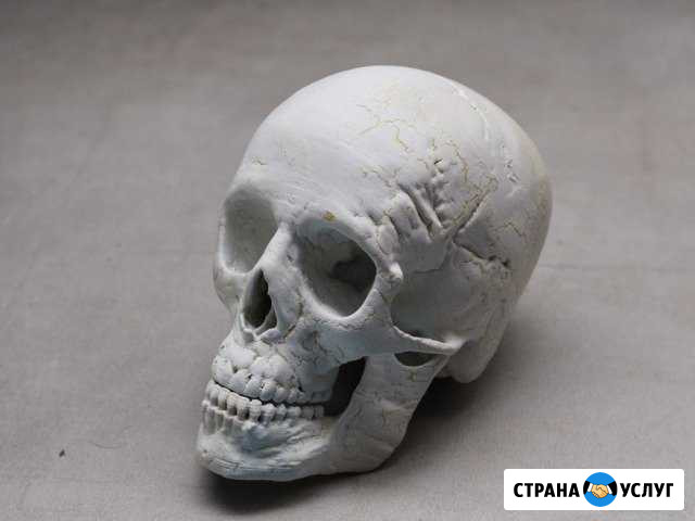 3d печать Дмитров - изображение 1