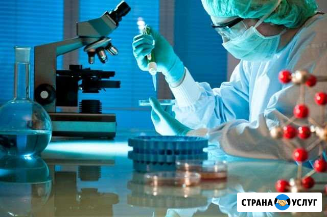 Разработка биопрепаратов и биотехнологий обучение Ростов-на-Дону - изображение 1
