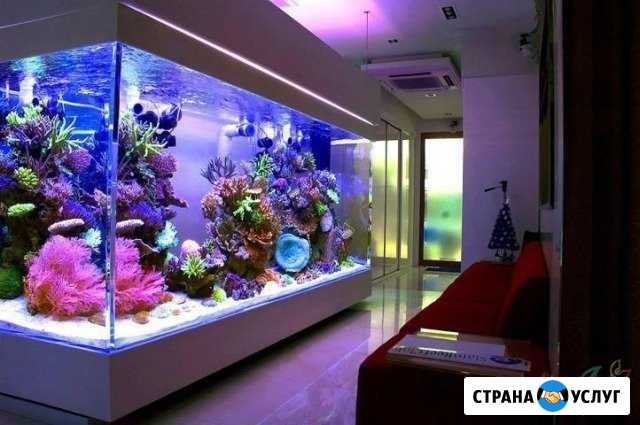 Обслуживание аквариумов (морские и пресные) Пятигорск - изображение 1