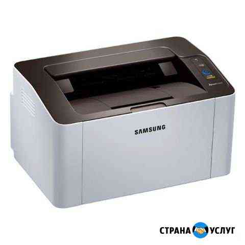 Прошивка принтера SAMSUNG SL-M2020 Оренбург