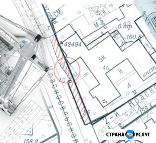 Межевание, технический план, вынос границ, геодези Волосово - изображение 1