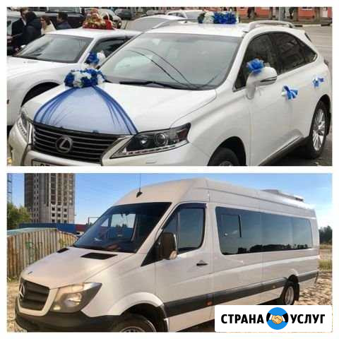 Автомобили на Свадьбу. Заказ микроавтобуса Воронеж - изображение 1