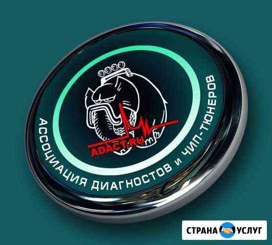 Диагностика чип-тюнинг Тольятти
