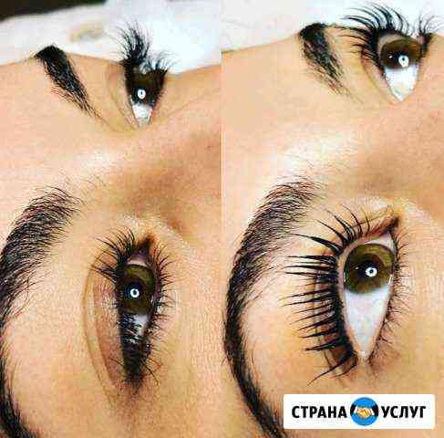 Бровист Москва