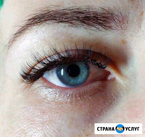 Наращивание ресниц, оформление бровей Маршала Жукова - изображение 1