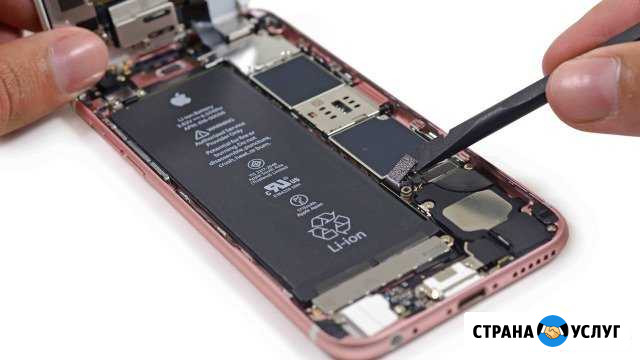 Выездной ремонт iPhone 5,6,7,8 Санкт-Петербург - изображение 1