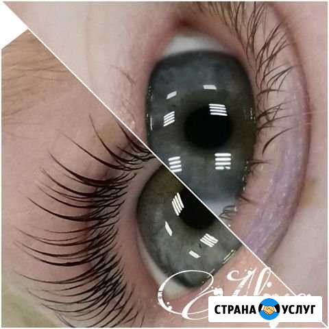 Обучение ламинированию ресниц Сургут - изображение 1