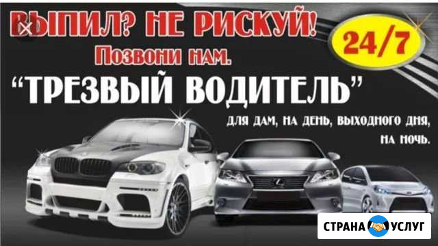 Трезвый водитель Зеленоград - изображение 1