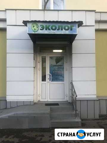 Пдв, пноолр, сзз, нвос, 2-тп, Отчеты по экологии Саранск - изображение 1
