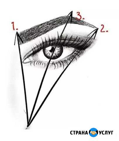 Курс Brow master Выборг - изображение 1