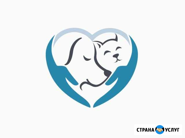Ветеринарный Врач Комсомольск-на-Амуре - изображение 1