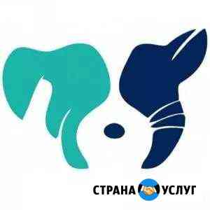 Ветеринарный врач, стрижка животных Подольск