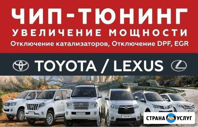 Чип тюнинг Toyota Тойота Lexus Лексус Махачкала - изображение 1