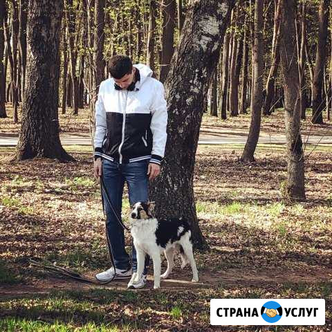 Кинолог Тула - изображение 1