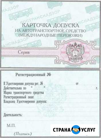 Оформление допуска к международным перевозкам Бийск - изображение 1