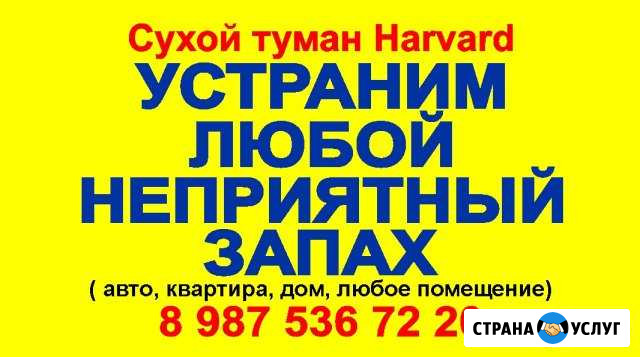 Удаление запаха в помещениях и автотранспорте Арзамас - изображение 1