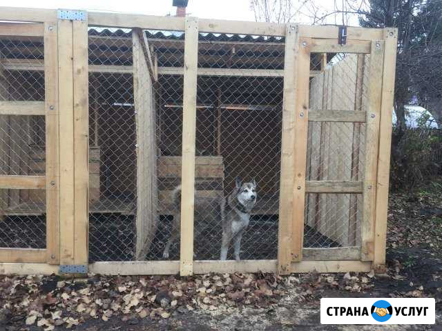 Передержка (гостиница) для собак и щенков Уфа - изображение 1