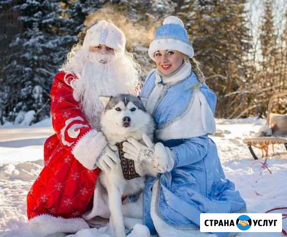 Хаски + Дед Мороз и Снегурочка Ангарск - изображение 1