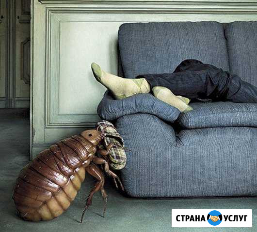 Полное уничтожение клопов, тараканов Киров - изображение 1
