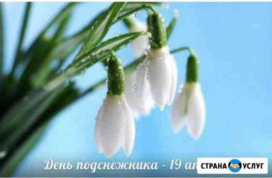 Экспресс уборка квартиры Самара