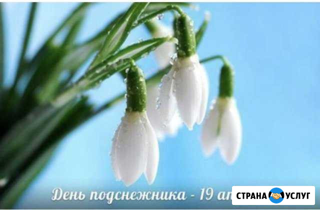 Экспресс уборка квартиры Самара - изображение 1